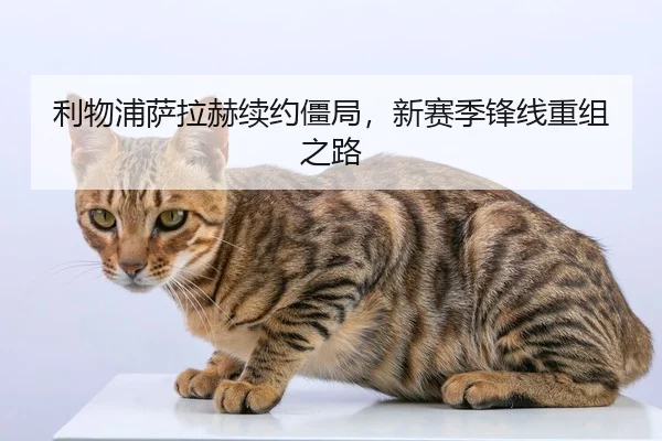 利物浦萨拉赫续约僵局，新赛季锋线重组之路